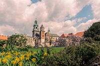 Spring is beautiful in Cracow