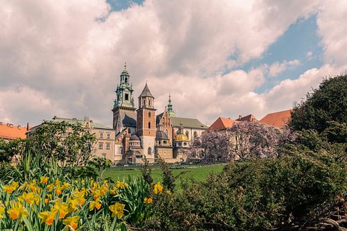 Der Frühling ist schön in Krakau