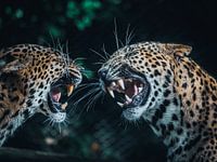 Sri Lanka Panters