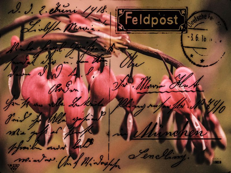 Field Post juni 1918 van Christine Nöhmeier