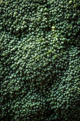 Broccoli