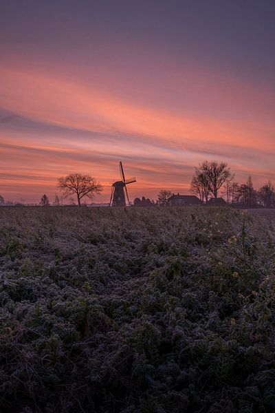 Mill The Cornflower Kuzels by Moetwil en van Dijk - Fotografie