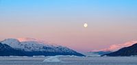 Arctic Moon van Rudy De Maeyer thumbnail