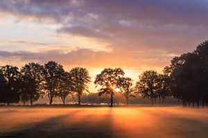 Sonnenaufgang auf dem Feld in der Nähe der Roffelaarskade Woudenberg - Grebbelinie - Gelderse Vallei