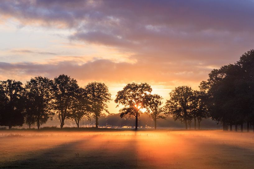 Sunrise in the field near the Roffelaarskade Woudenberg - Grebbelinie - Gelderse Vallei by Sjaak den Breeje