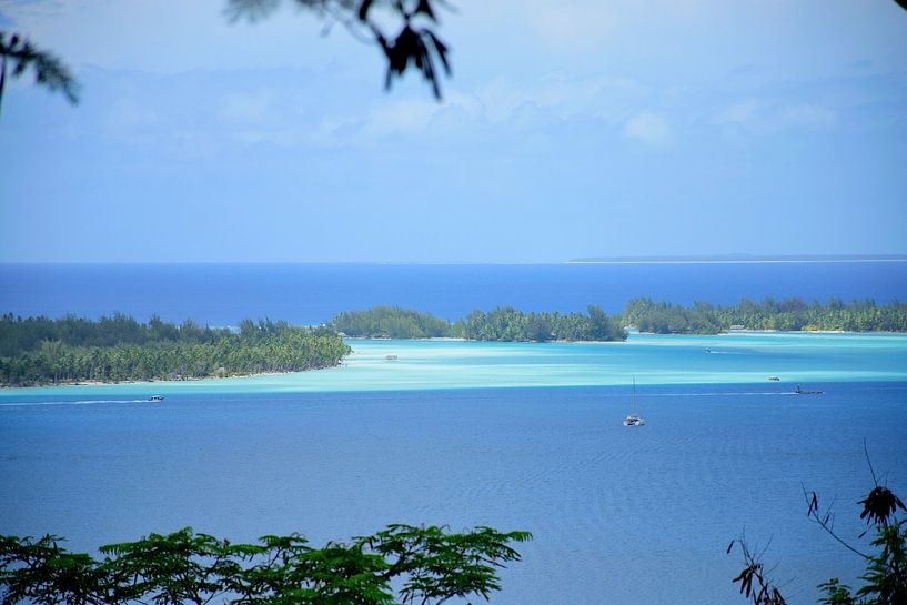 Tupai in the distance by Frank's Awesome Travels
