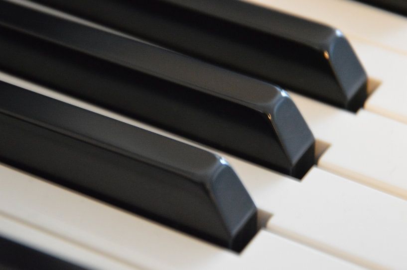 Piano by Dustin Musch
