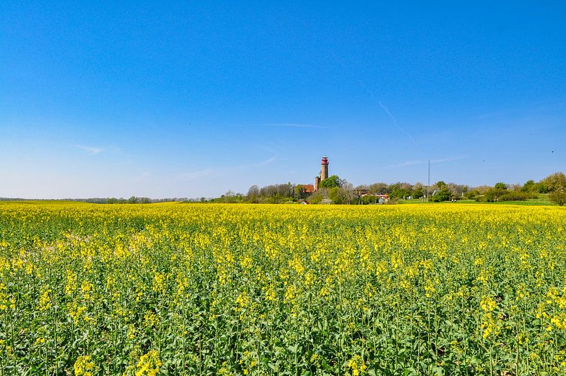 Schinkelturm und neuer Leuchturm Kap Arkona, Rapsfeld von GH Foto & Artdesign