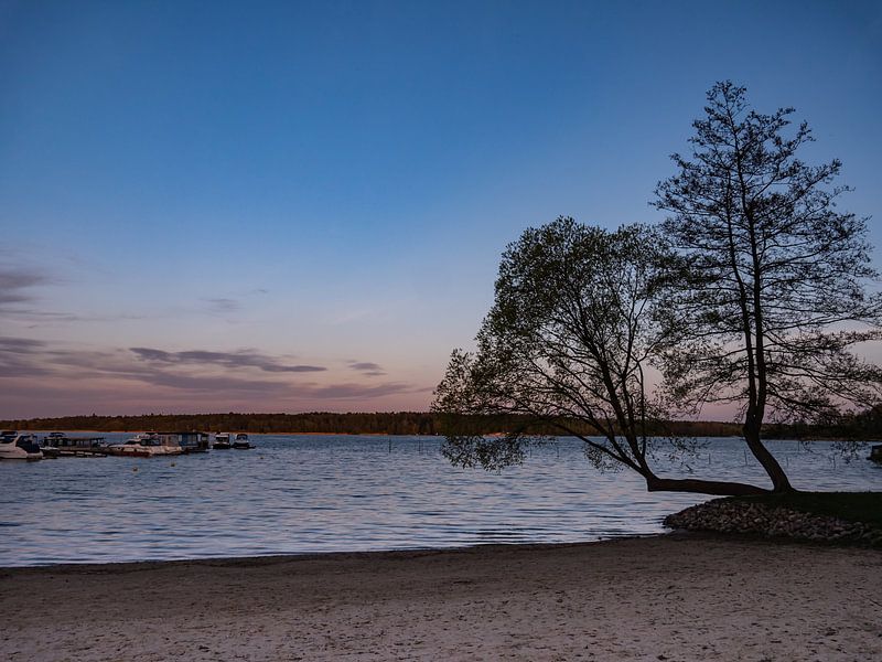 Het Müritzmeer in de avond in het Mecklenburgse merengebied van Animaflora PicsStock
