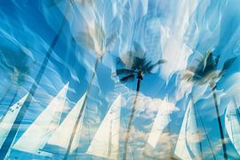 Weisse Segel unter Palmen von ARTemberaubend