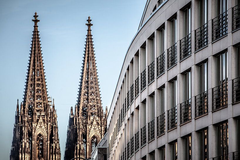 blick auf türme in köln dumm von Eric van Nieuwland