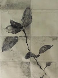 Stilleben einer Pflanze im japanischen Stil von Japandi Art Studio