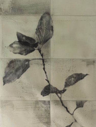 Stilleven van een plant in Japandi stijl