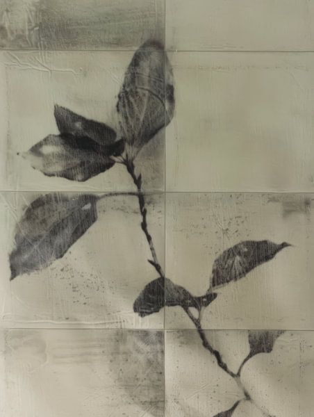 Stilleven van een plant in Japandi stijl van Japandi Art Studio