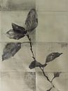 Stilleven van een plant in Japandi stijl van Japandi Art Studio thumbnail