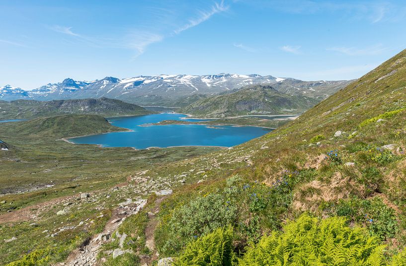 lake in national park in norway par ChrisWillemsen