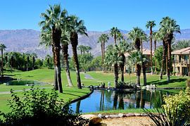 Resort life by Frank's Awesome Travels