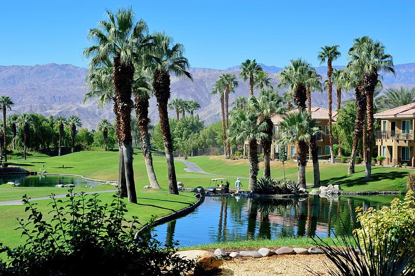 Resort life by Frank's Awesome Travels