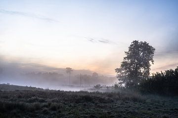 Hatertse en Overasseltse vennen part 15