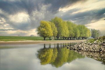 Griethauser Altrhein near Kleve in Germany