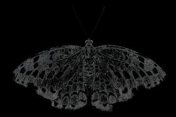 Papillon | beaux-arts | noir et blanc sur Femke Ketelaar