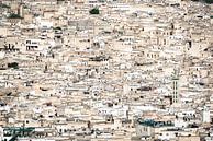 De koningsstad Fes, Marokko van Rietje Bulthuis thumbnail