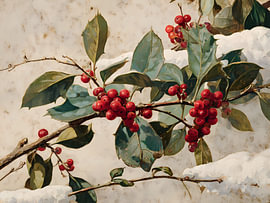 Zweig mit verschneiten Stechpalmenbeeren