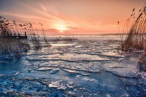 Lueur d'hiver