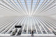 Liege-Guillemins railway station by Roy Poots thumbnail