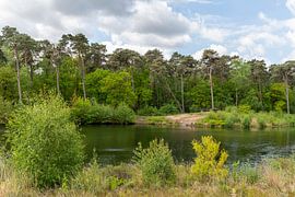 Die van Esschenven in Oisterwijk. von Els Oomis