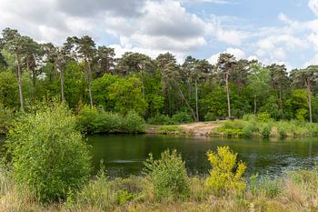 Het van Esschenven in Oisterwijk.