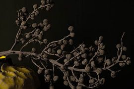 branche de la date partiellement colorée sur Aan Kant