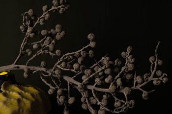 date branch partial color