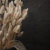 Landelijk stilleven met hazenstaart droogbloemen van Mayra Fotografie