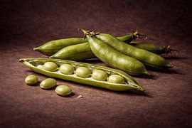 Ackerbohnen .Vicia faba