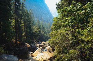 Parc national de Yosemite, Amérique