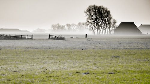 Landschap bij Tzum, Friesland, Nederland.