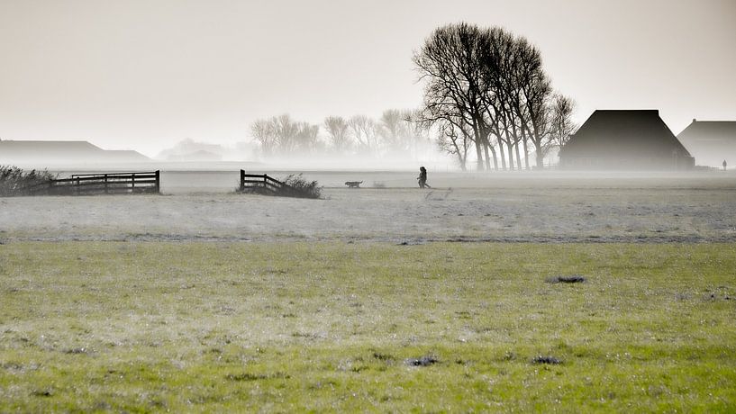 Landscape near Tzum, Friesland, Netherlands. by Jaap Bosma Fotografie