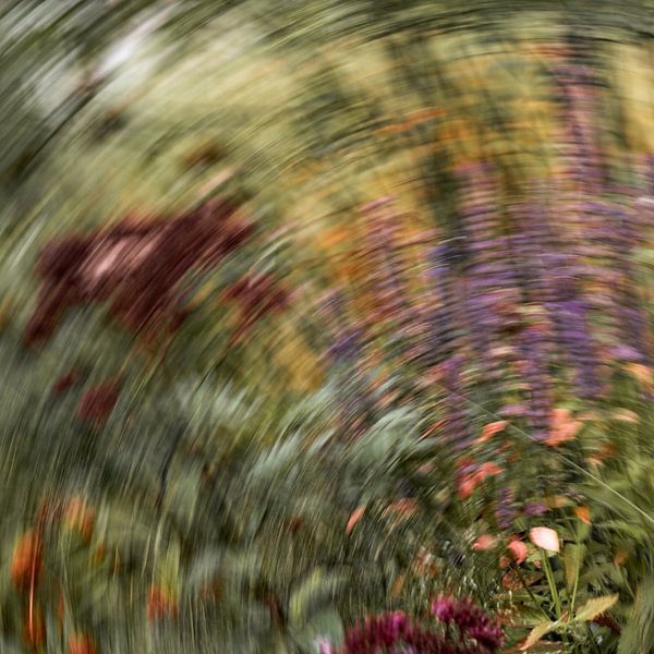 Malerei das Licht der lila Blumen Nummer 2 von Helene van Rijn