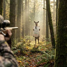 Vision nette sur Retrotimes