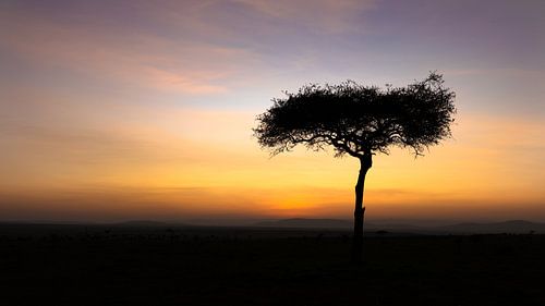 Lever de soleil en Afrique.