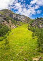 The green hill