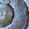 De gulden snede - macro-opname van een slakkenhuis van pixxelmixx