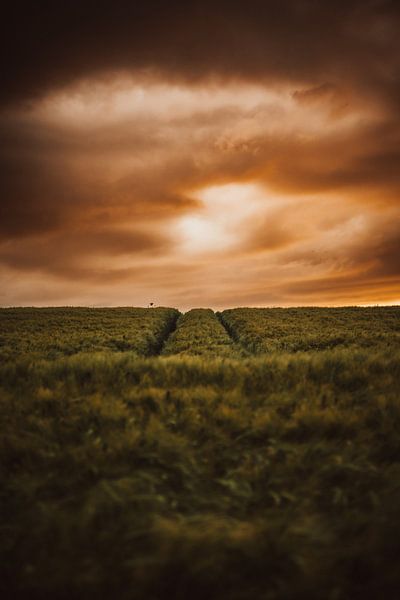 Zonsondergang van Fabian Elsing