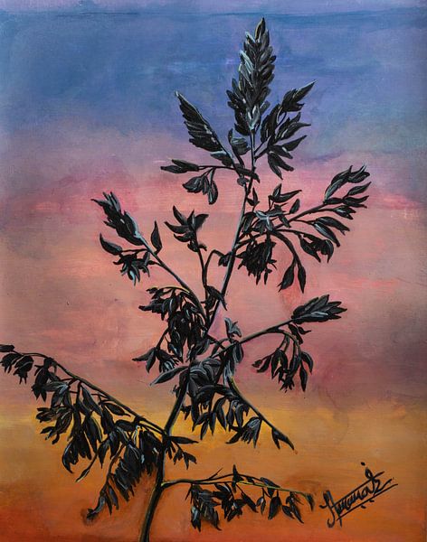 Fleurs sauvages par Henk Goossens