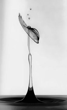 Life of a falling droplet in black and white 1 van shoott photography