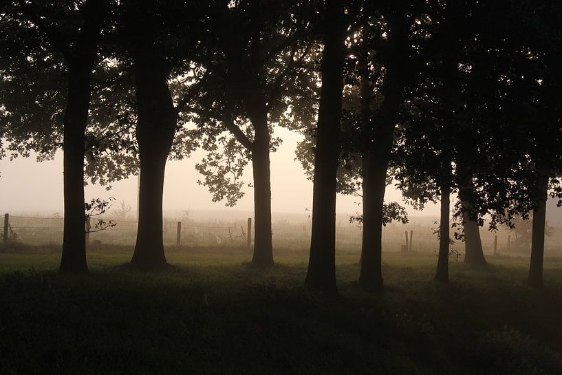 Door de bomen by Kaa. M