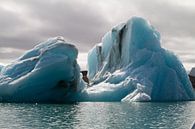 Drijvende ijsberg par Sander Meijering Aperçu
