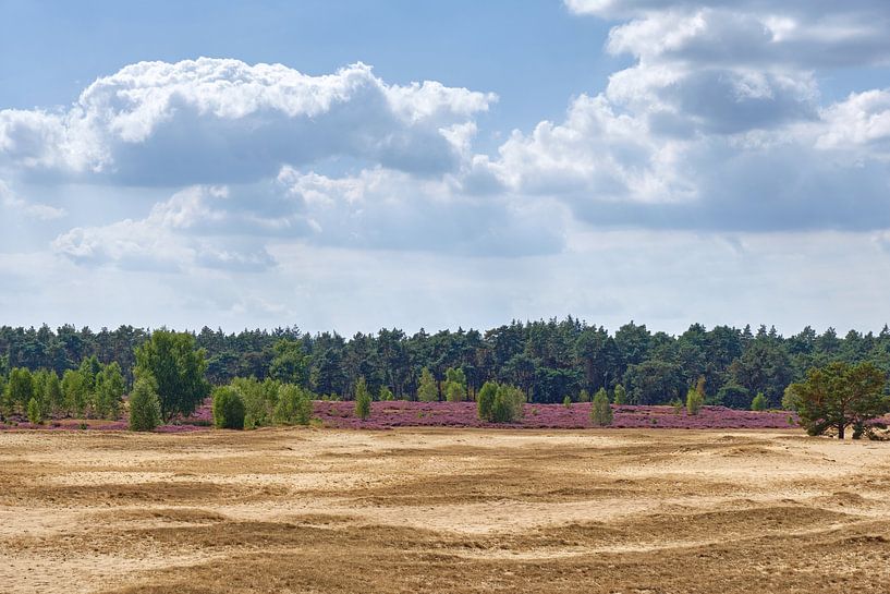 Wekeromse Zand II, Gelderland by Ronald Smits