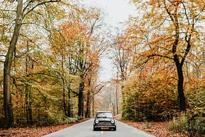 Oldtimer Mini Cooper sur la route dans une forêt d'automne | Veluwe, Pays-Bas sur Trix Leeflang